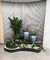 植物租赁
