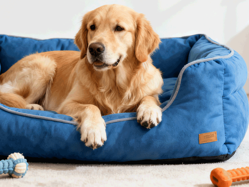 The perfect combination of comfort and technology