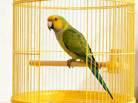 The perfect combination of comfort and technology