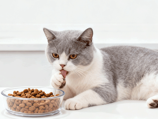 The perfect combination of comfort and technology