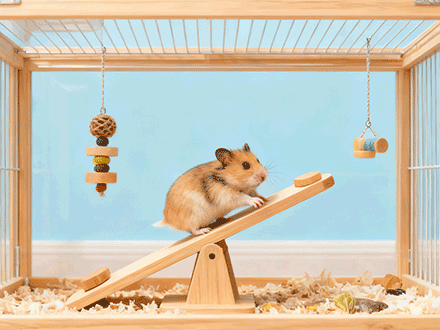 keting optimization, marketing data analysis and foreign trade internet training etc.Our team pay attentio