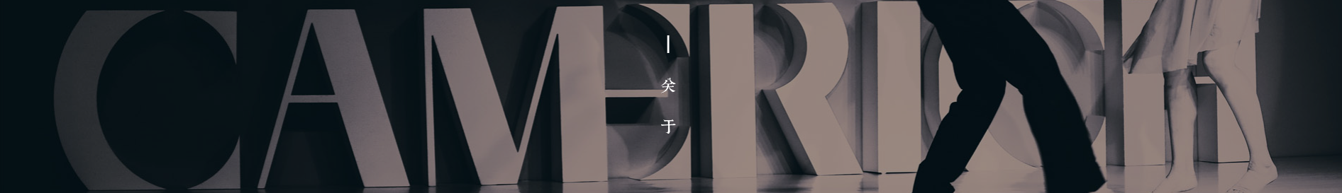 公司简介